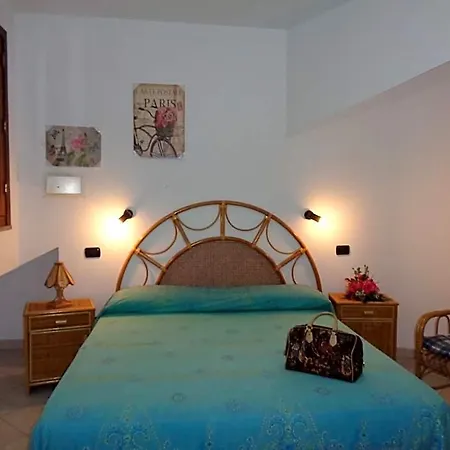 L'agave 4*